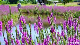 
 名家專用／台灣旅行趣（勿用）
