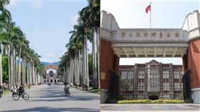 台灣大學,師範大學,中國,台北,廣州中山大學,西進（圖／翻攝國立臺灣大學、國立師範大學臉書）