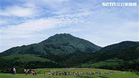 爬山,擎天崗大草皮的野牛旁（圖／記者李鴻典攝）