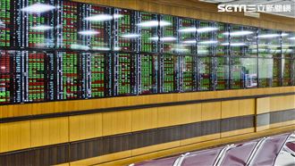 這企業營收年增32%　國家隊狂掃萬張押6億