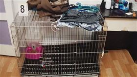 關狗籠澆沸水！狠夫妻「燙死」5歲兒
新加坡,虐童,燙傷,沸水,狗籠,鞭刑
翻攝自推特