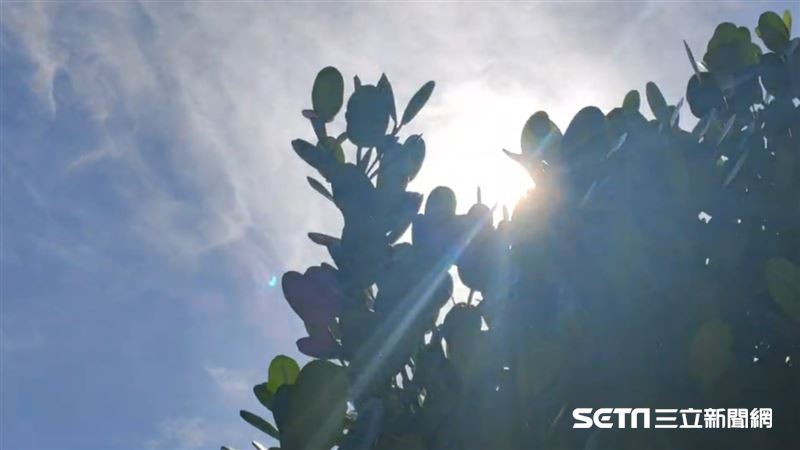 新／焚風發威！台東飆40.5度高溫
