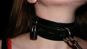 項圈,SM,調教（圖／翻攝自維基百科）