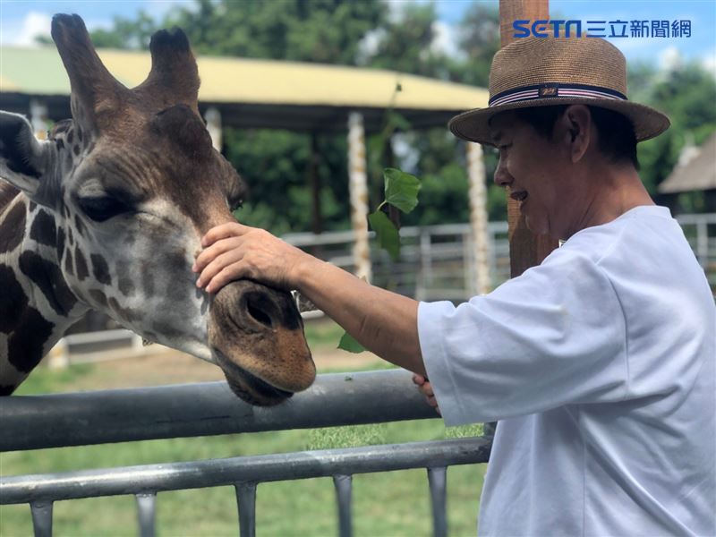超級保母挑戰野生動物