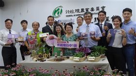 台中農改場發表首個國內育成紫錐菊新品種農委會台中區農改場16日公布國內首個本土育成的紫錐菊新品種「台中1號」，台中農改場並表示，目前正用新育成的「台中1號」試驗對抗新型冠狀病毒中。中央社記者楊淑閔攝　109年7月16日