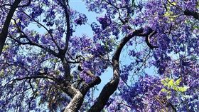 名家專用／草根影響力新視野（勿用）