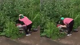 活春宮,木板,大媽,野戰(翻攝自 Twitter)
