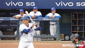 ▲富邦悍將總教練洪一中。（圖／記者劉彥池攝影）