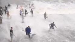北雁湖暴漲洩洪　百人闖水道玩命撈魚