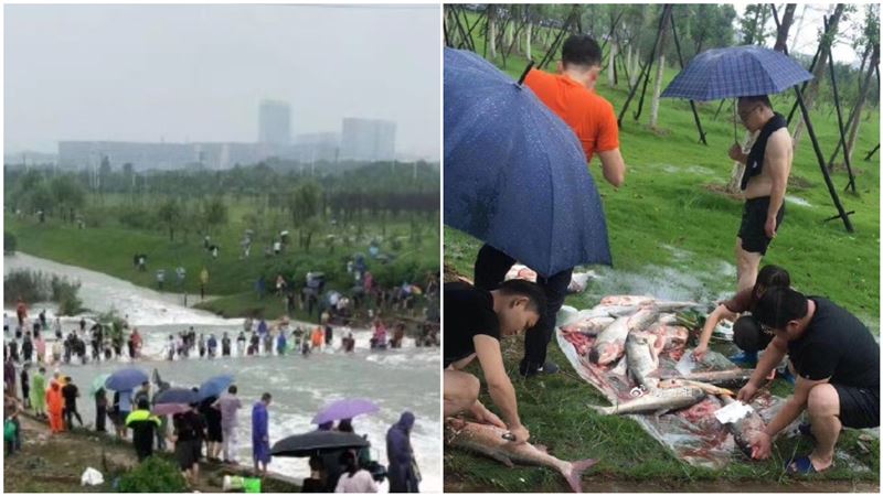 湖水暴漲…中國人不要命竟衝湖中撈魚