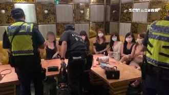 緝毒犬臨檢萌翻天　酒店妹嗲喊好可愛