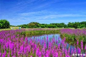 名家專用／台灣旅行趣（勿用）