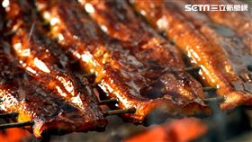 夏暑人來補元氣　小倉屋推新品鰻牛重還有買1送1（圖／餐廳提供）