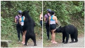 墨西哥,熊,熊抱,短褲,大腿（圖／翻攝自TikTok「PonchoDeNigris」）
