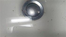 首爾居民最近發現，自家水龍頭的水中會有不明幼蟲在蠕動。(圖／翻攝自Instagram／zu_keep）