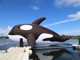 名家專用／台灣旅行趣（勿用）