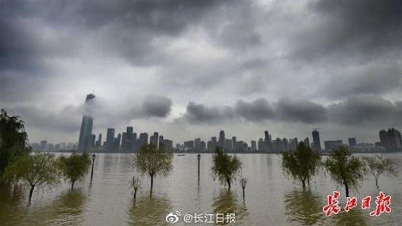 水庫洩洪…中國人不畏死下水捕魚開賣
