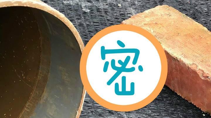 工地驚見眼鏡蛇　網一看被融化：好萌