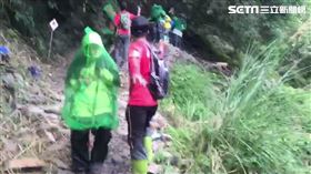 南投八通關古道遇黑腹虎頭蜂／翻攝畫面