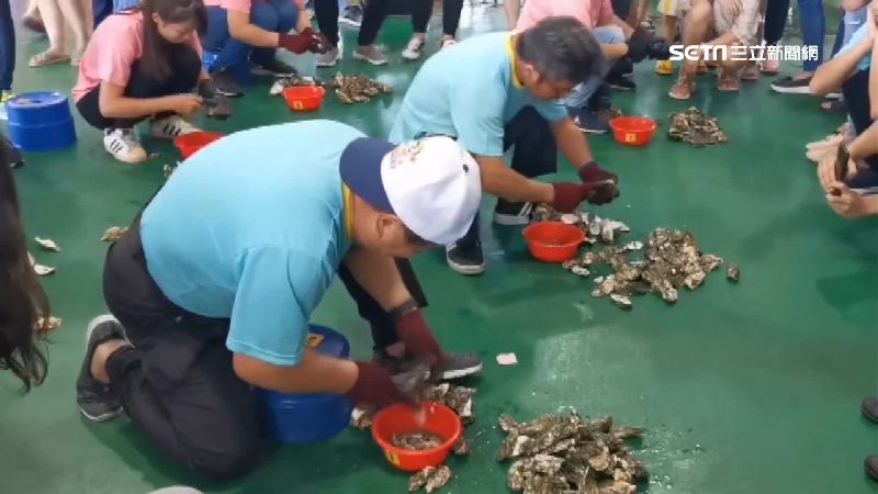 剝蚵神手3秒1顆　5分鐘1公斤奪冠