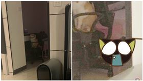 龍洞夜潛回家！海水腳印跟進房內…他拍暗處「驚見人臉」網全傻了（圖／翻攝自靈異公社）