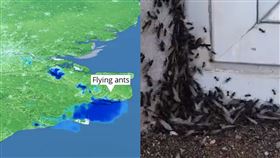 英國飛蟻大軍，雷達誤判雲雨。（組圖／翻攝自推特）