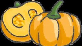 名家專用／毛起來MAOUP（勿用）