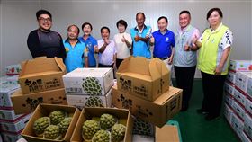 大目種釋迦外銷啟航　首批168箱配送香港今年台東大目種釋迦外銷啟航，21日上午在台東縣長饒慶鈴（左5）與農民歡送下，800公斤的太麻里鄉大目種釋迦分裝在168箱紙盒內配送至香港。中央社記者盧太城攝　109年7月21日