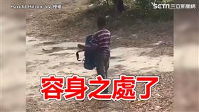 ▲▼害怕媽媽的羅馬，竟走進房間裡打包行李，決定要離家出走。（圖／Tiwwter／Harold Hilton Jr. 授權）