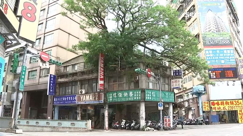 屋中有樹成為奇觀　恐影響房價和風水