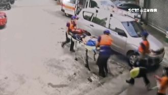 拆虎頭蜂窩未著裝　捕蜂員遭螫休克