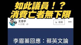 藍營粉專痛罵消費亡者，王浩宇傻眼「那是李眉蓁說的啦！」（圖／翻攝自澄清唬臉書專頁）