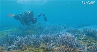 潛水教練養成路：下潛100次是基本