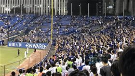 ▲中日龍球迷。（圖／翻攝自@Swallows_Wi_n推特）