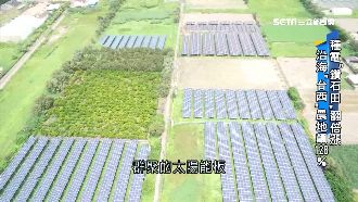 種電翻倍漲　台西農地飆128%