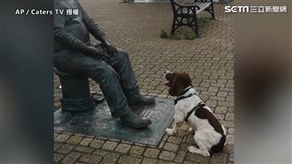 汪星人秀才藝表演　對象竟是人形雕像