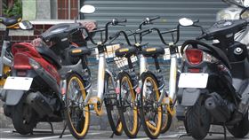 oBike亂象,無樁自行車,共享,機車,腳踏車,停車格,違停　圖／記者林敬旻攝