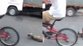 男子騎腳踏車拖著一隻貓咪。（圖／翻攝自Haiwan Malaysia - Malaysia Animal Association臉書） 