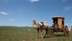 唐朝,雷萬春,雷府千歲,安祿山
