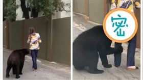 熊抱 熊 (圖/翻攝自arques y Vida Silvestre de Nuevo León)
