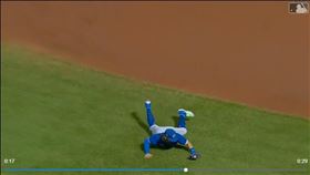 ▲畢謝特（Bo Bichette）撲到球人在外野草皮。（圖／翻攝自MLB官網）