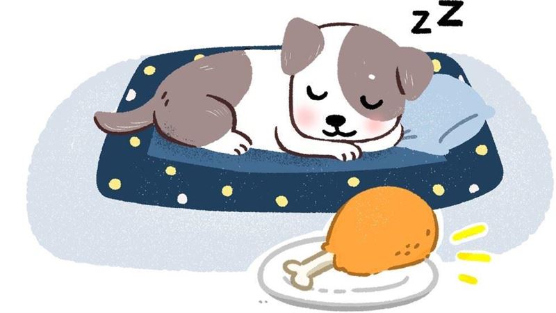狗狗的鼻子在睡著的時候居然關機了？