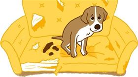 名家專用／毛起來MAOUP（勿用）