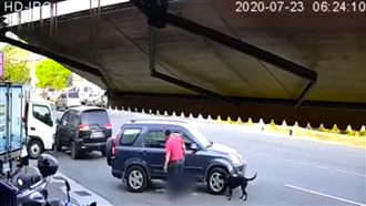 惡男驅車來回輾斃黑狗　下場慘曝！
