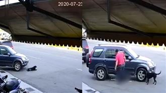 男來回輾斃黑狗下車狠踹⋯牠倒血泊亡