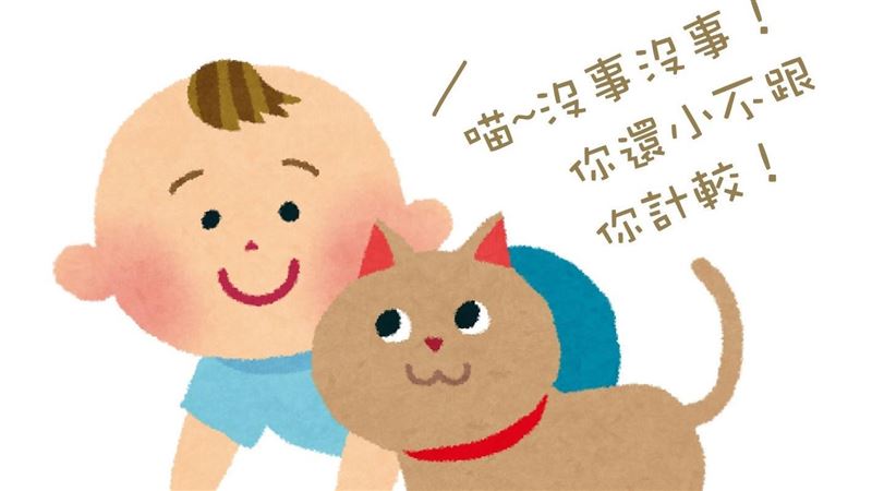 貓貓為什麼可以包容小孩子的惡作劇？