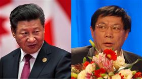 習近平,任志強,組合圖資料照