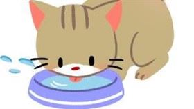 名家專用／毛起來MAOUP（勿用）