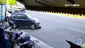 (審)二度輾黑狗1201