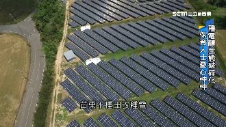 搶石虎的家？光電業在苗栗搶地種電